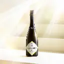 Sake_Hundred_Niko_Main_KV_2406_1080x1080.webp