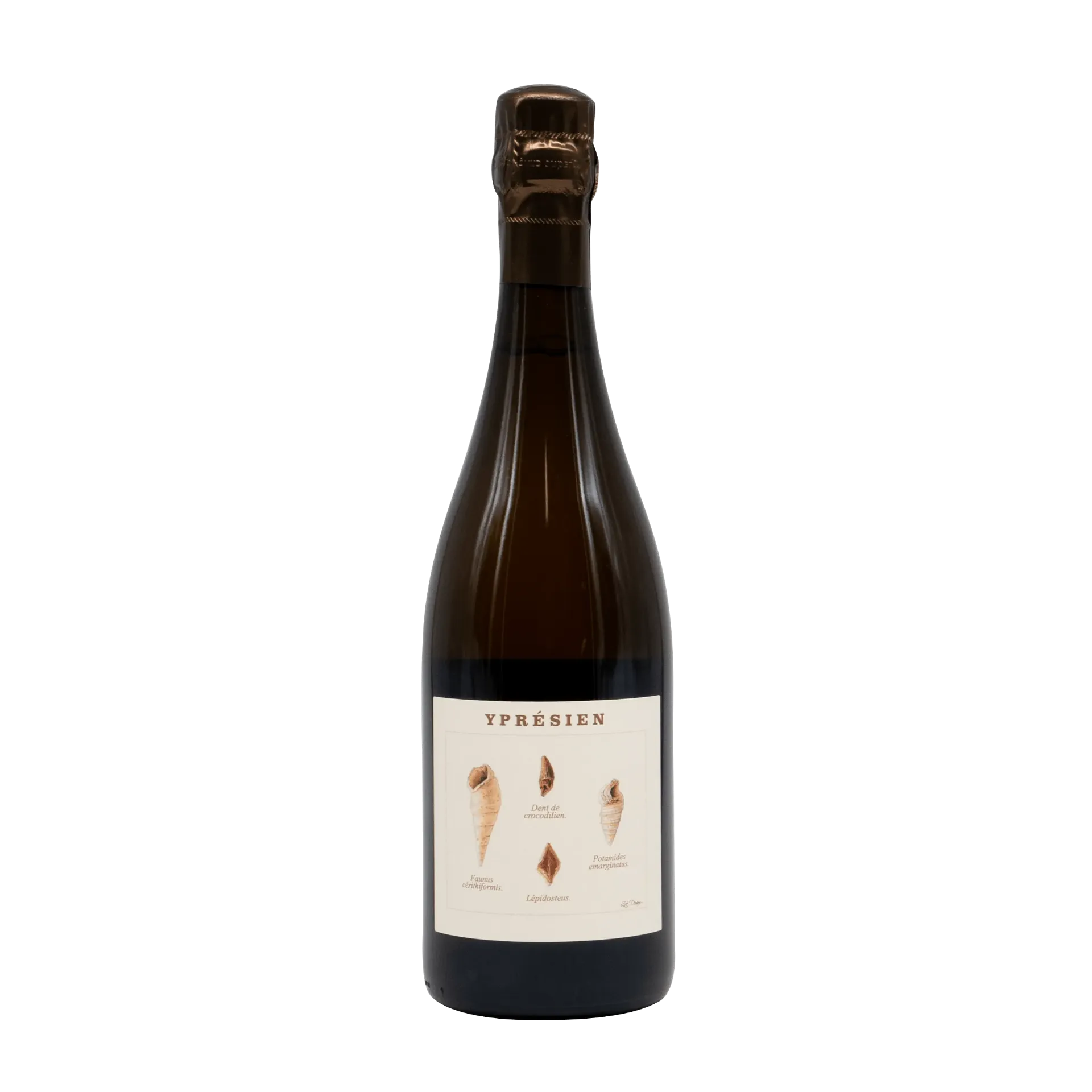 Legrand Latour Ypresien Champagne 2021