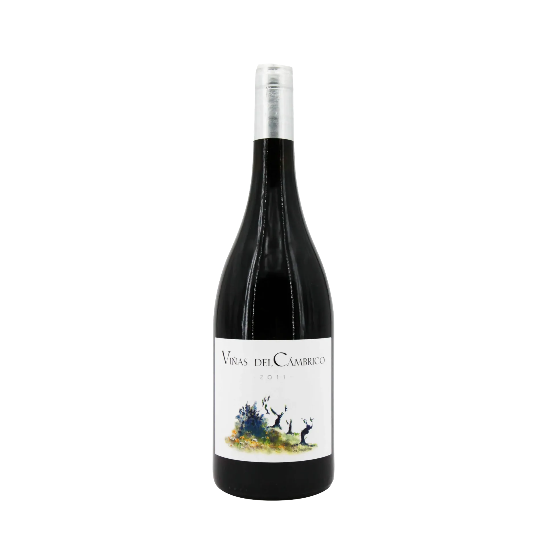[CAMBR02_11_0750] Cambrico Vina del Cambrico 2011