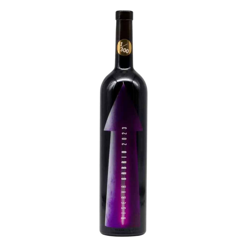 [GABRI02_23_0750] Gabrio Bini Riserva Gabrio Pinot Noir 2023