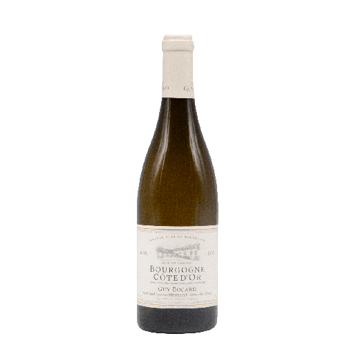 [GUYBO01_21_0750] Guy Bocard Bourgogne Cote d'Or 2021